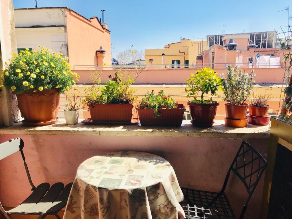Green Guesthouse Rome Luaran gambar