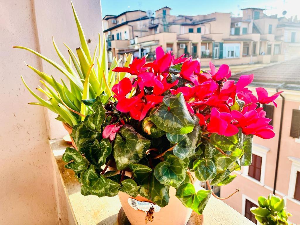 Green Guesthouse Rome Luaran gambar